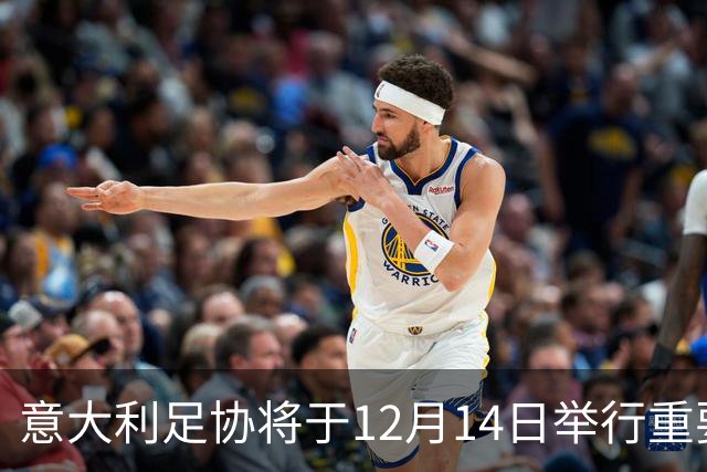 意大利足协将于12月14日举行重要选举大会